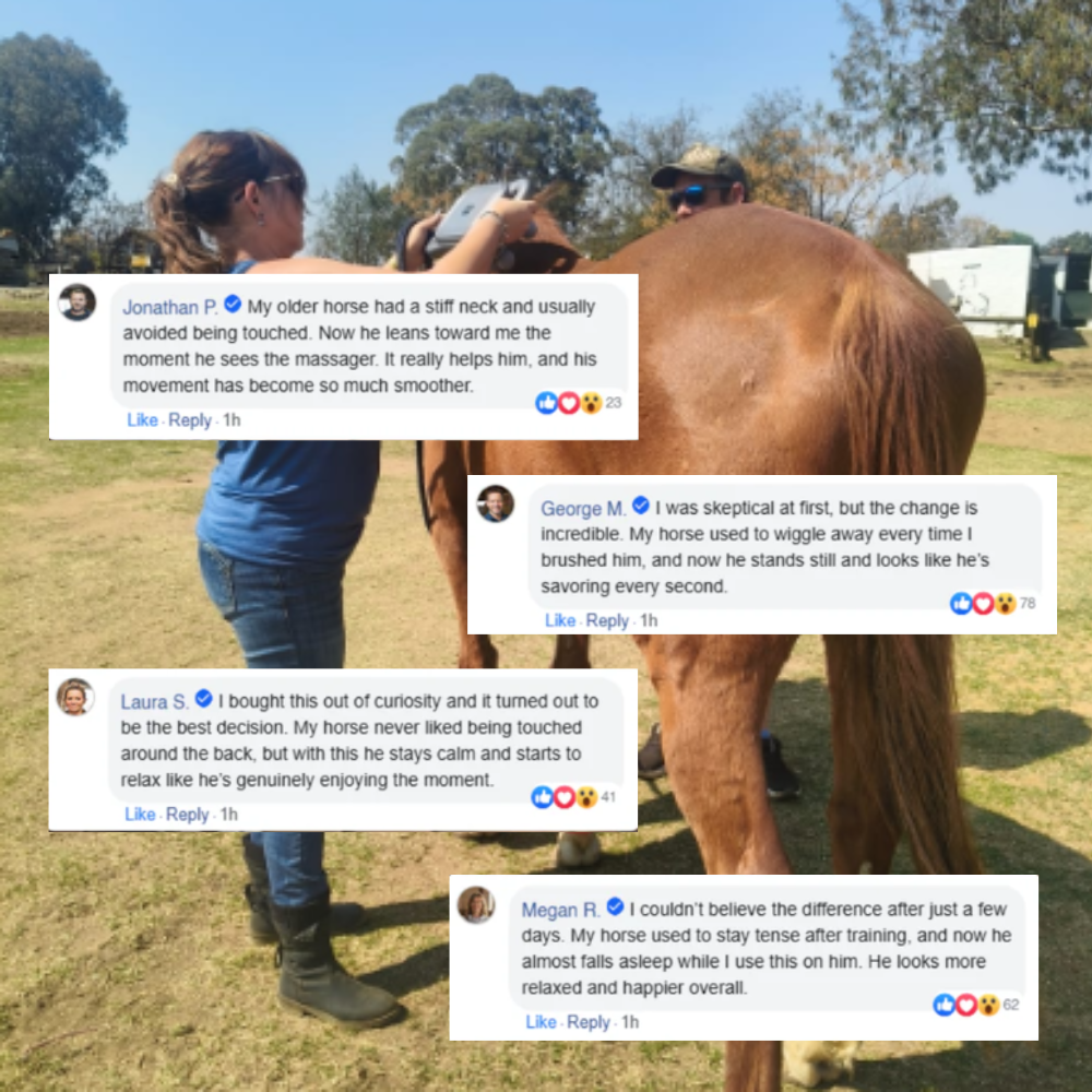 Sixteenhands™ 8-Head Equine Muscle Recovery Massage Gun
