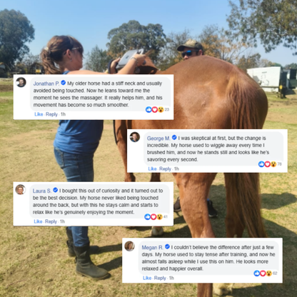 Sixteenhands™ 8-Head Equine Muscle Recovery Massage Gun