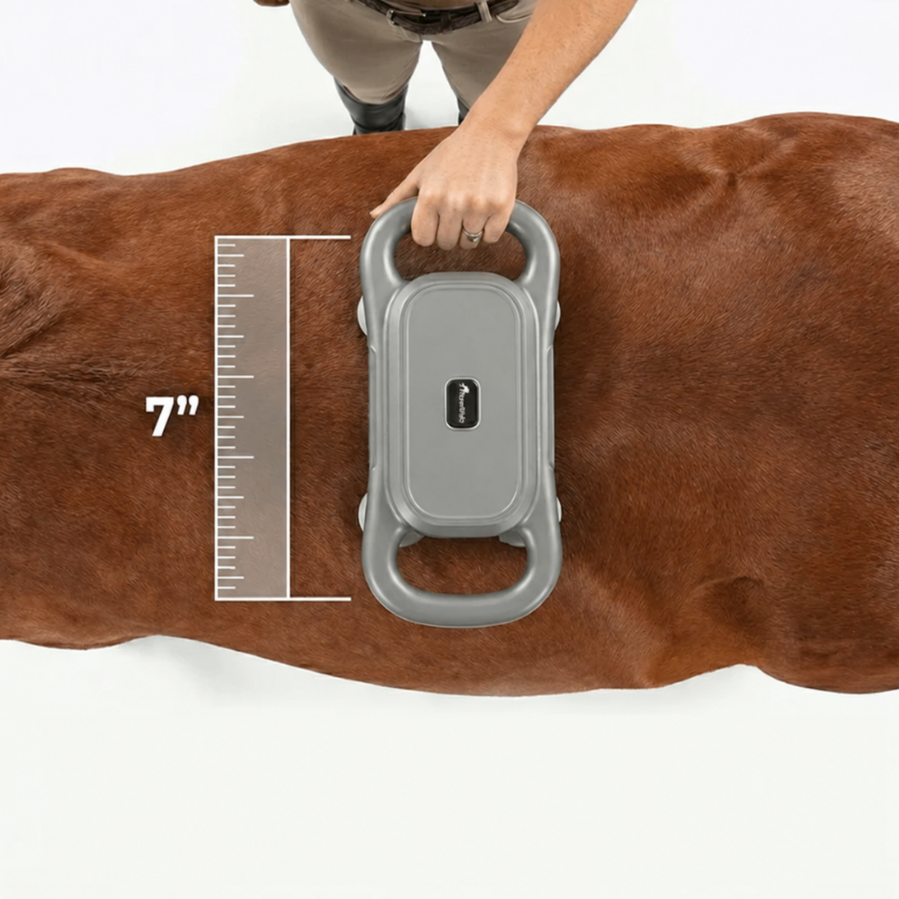Sixteenhands™ 8-Head Equine Muscle Recovery Massage Gun