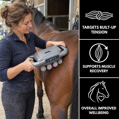 Sixteenhands™ 8-Head Equine Muscle Recovery Massage Gun