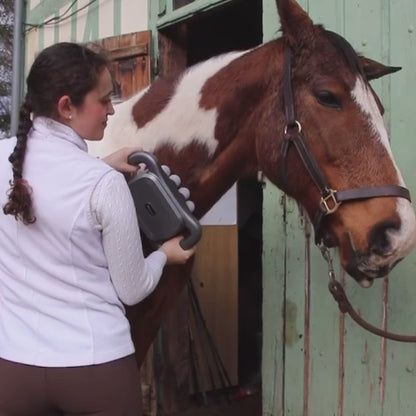 Sixteenhands™ 8-Head Equine Muscle Recovery Massage Gun
